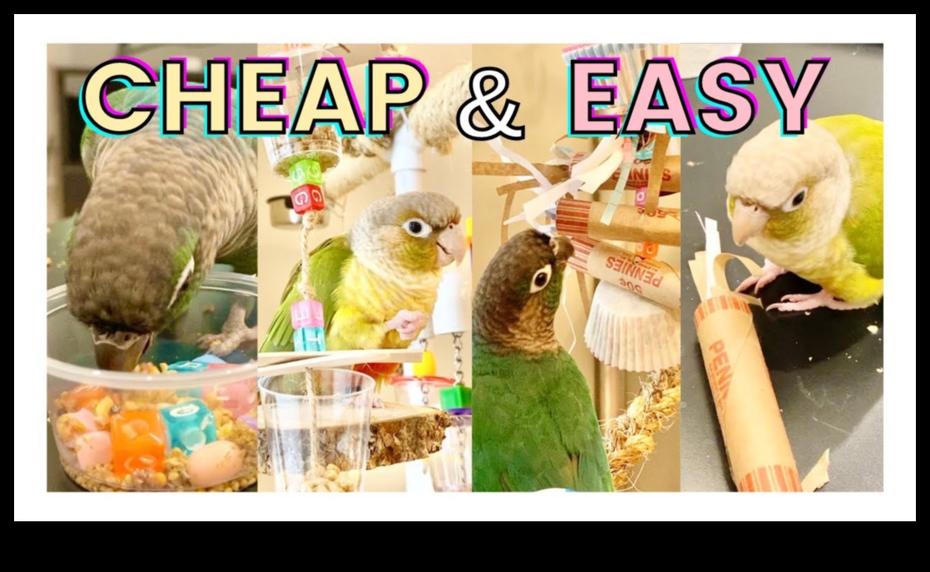 ألعاب الطيور التي تصنعها بنفسك: أنشطة إثراء لأصدقائك من ذوي الريش