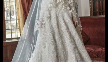 نعمة متطورة: سحر الزفاف