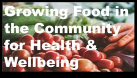 تغذية المجتمع: تغذية الصحة العامة في جوهرها