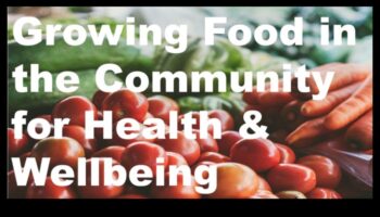 تغذية المجتمع: تغذية الصحة العامة في جوهرها