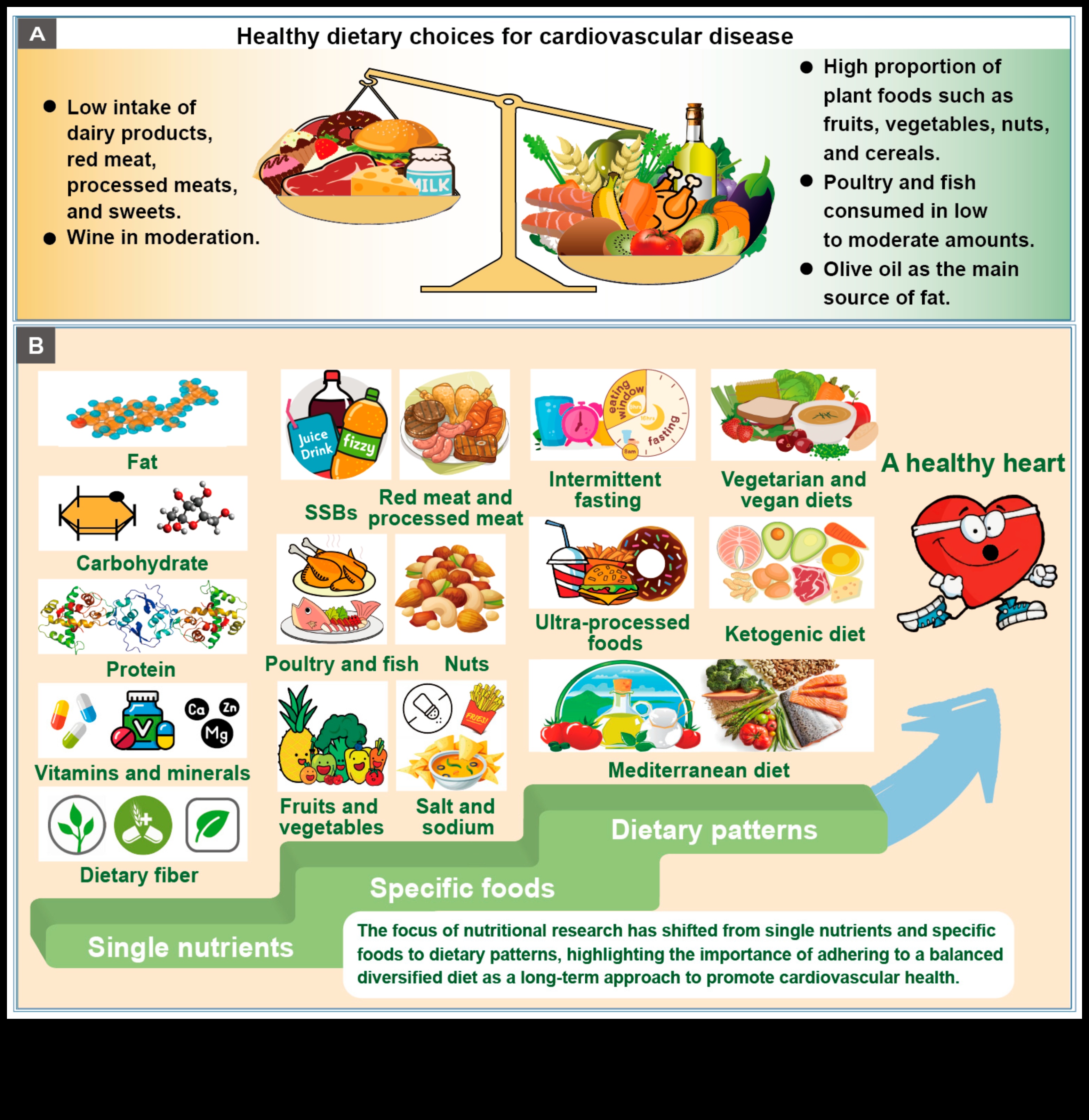 مصفوفة المغذيات: التنقل في شبكة الخيارات الغذائية