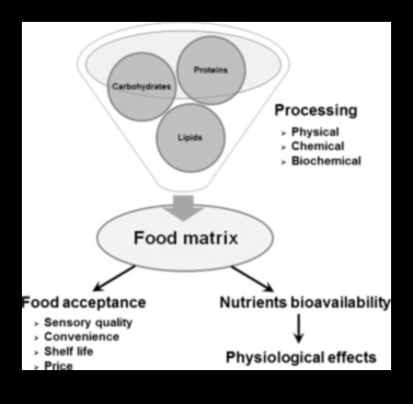 مصفوفة المغذيات: التنقل في شبكة الخيارات الغذائية