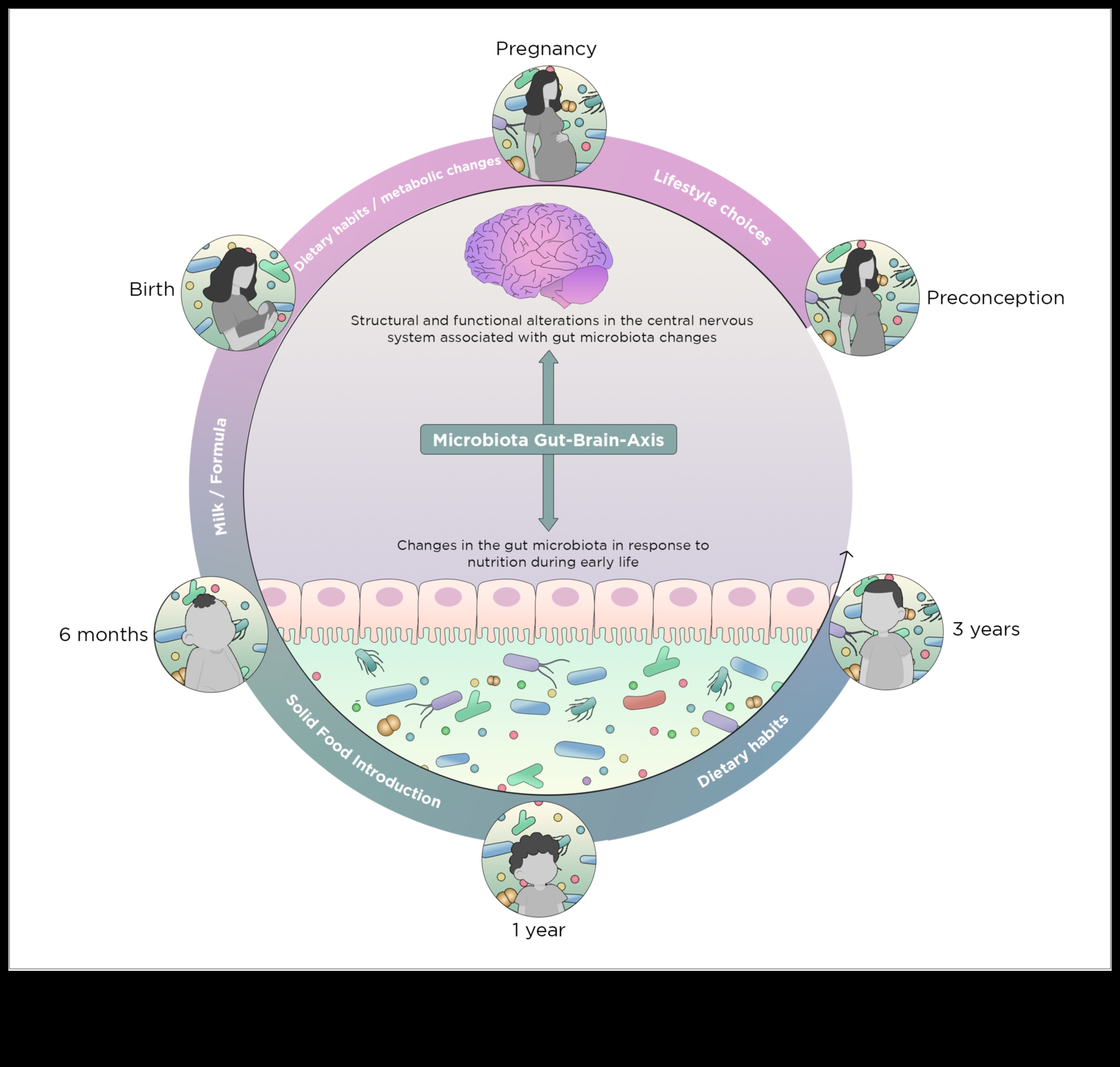 لغز المغذيات: الكشف عن تعقيدات النقص