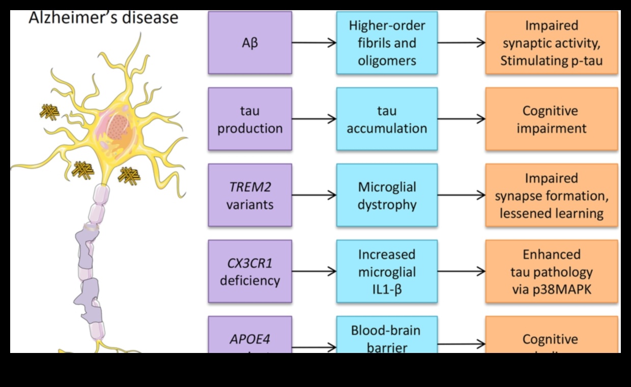لغز المغذيات: الكشف عن تعقيدات النقص