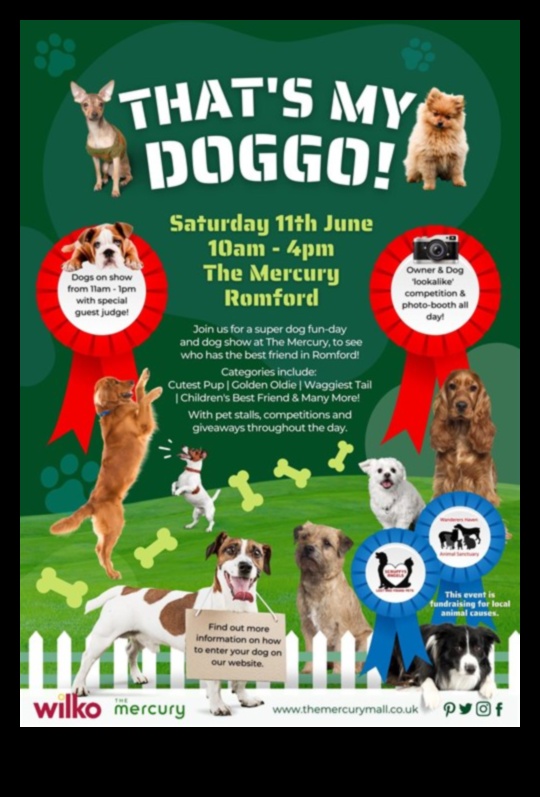 مسابقات الكلاب: المشاركة في مسابقات الكلاب الممتعة