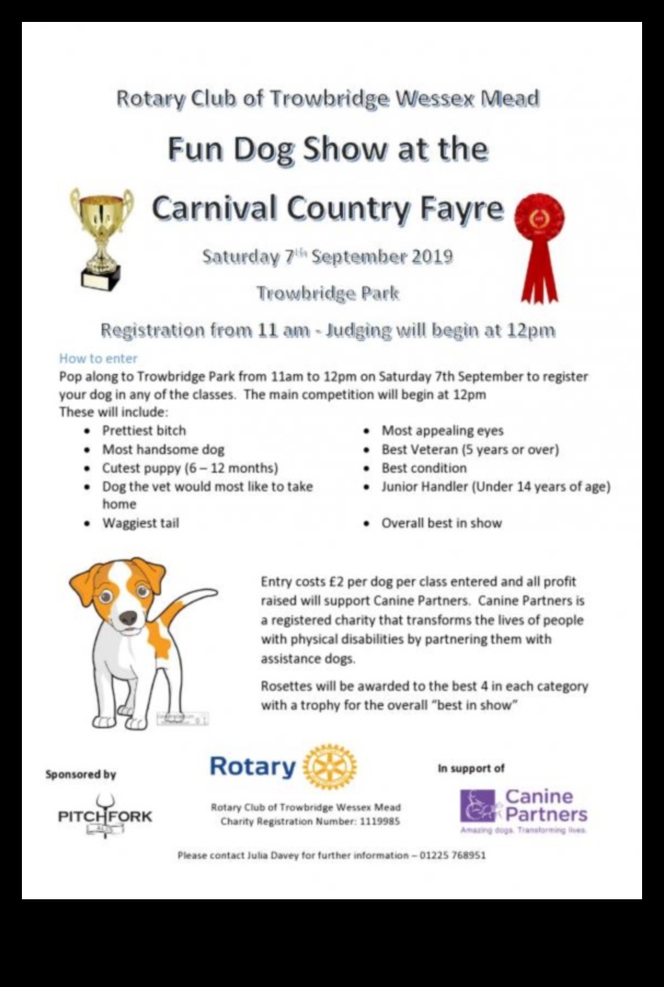 مسابقات الكلاب: المشاركة في مسابقات الكلاب الممتعة