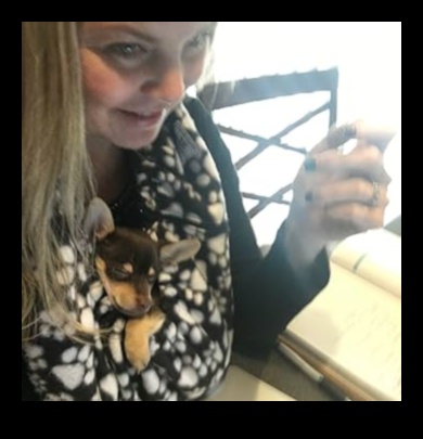 الحضن المخلوق: نصائح الترابط لأصحاب الحيوانات الصغيرة