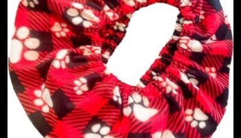 الحضن المخلوق: نصائح الترابط لأصحاب الحيوانات الصغيرة