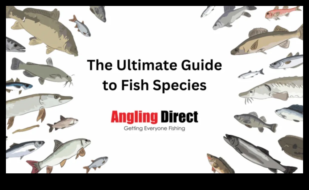 تقنيات المعالجة: اختيار النهج الصحيح للأسماك المختلفة