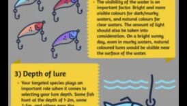 تقنيات المعالجة: اختيار النهج الصحيح للأسماك المختلفة