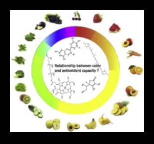ألوان الصحة: ​​استكشاف الأطعمة الغنية بمضادات الأكسدة