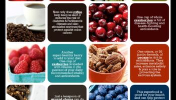 ألوان الصحة: ​​استكشاف الأطعمة الغنية بمضادات الأكسدة