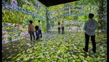 ما وراء القماش: تجربة النهضة الفنية متعددة الأبعاد