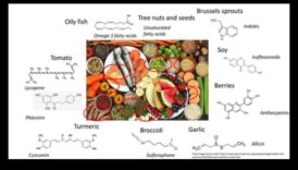 تخطيط القائمة الجزيئية: صياغة الصحة باستخدام الكيمياء الحيوية الغذائية