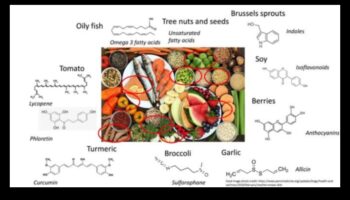 تخطيط القائمة الجزيئية: صياغة الصحة باستخدام الكيمياء الحيوية الغذائية