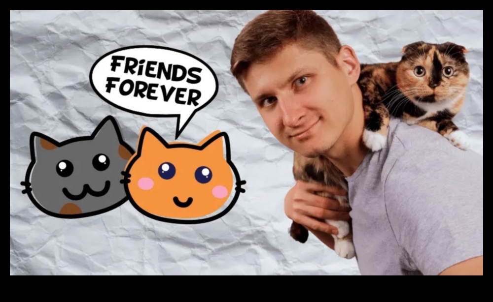 رفقة القطط: بناء علاقة قوية مع صديقك الماكر