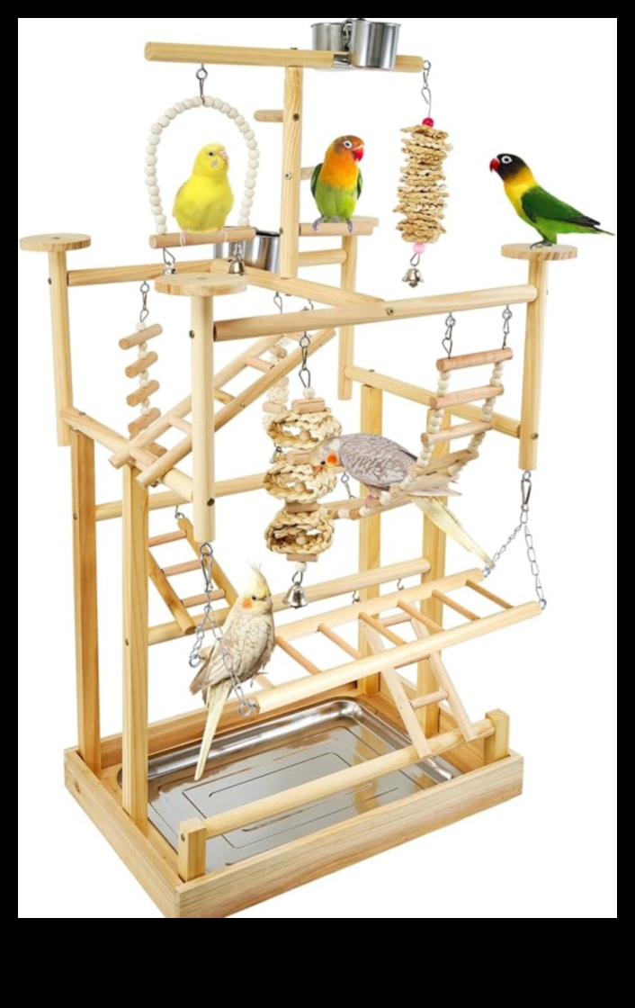 قصر لعب الببغاء: بناء منطقة لعب ثرية للطيور