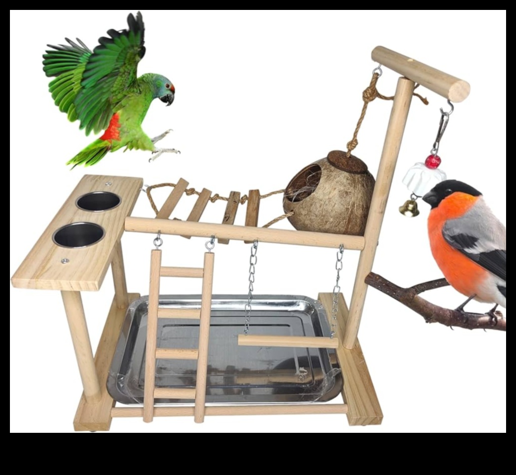 قصر لعب الببغاء: بناء منطقة لعب ثرية للطيور