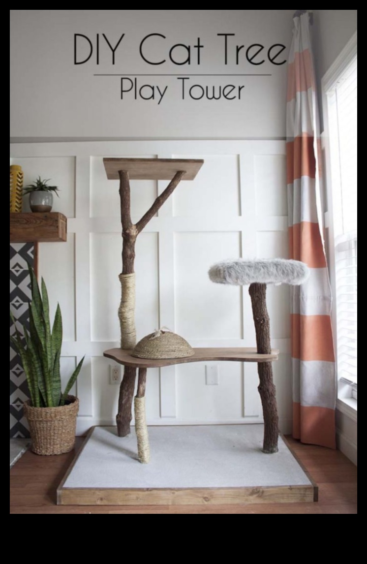 أثاث القطط الذي تصنعه بنفسك: بناء أعمدة الخدش وهياكل التسلق
