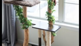 أثاث القطط الذي تصنعه بنفسك: بناء أعمدة الخدش وهياكل التسلق