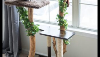 أثاث القطط الذي تصنعه بنفسك: بناء أعمدة الخدش وهياكل التسلق